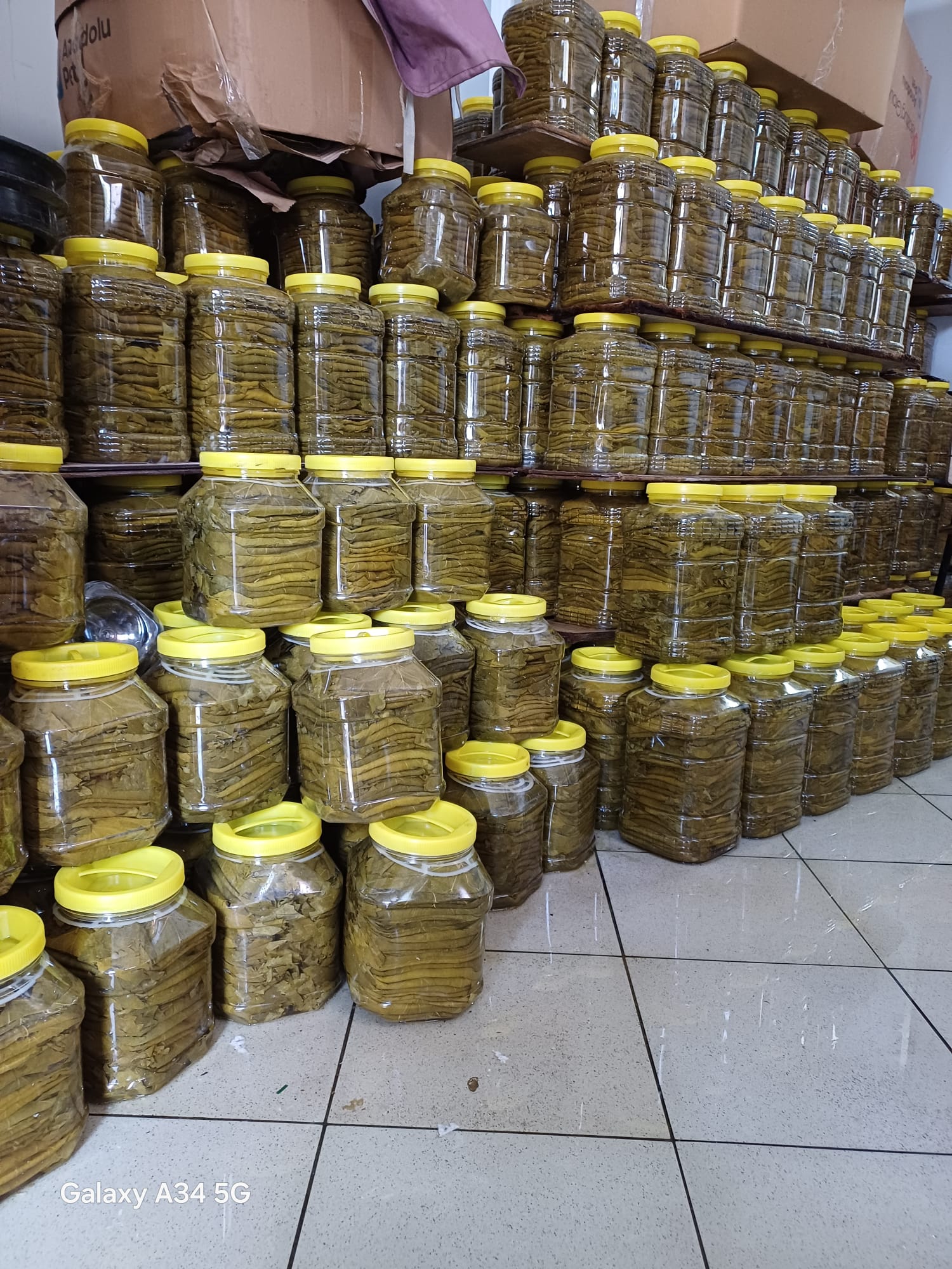 5 Kilo Kuru Basım